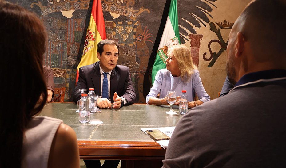 La Junta saca a licitación el estudio de implantación de la Ciudad de la Justicia de Marbella