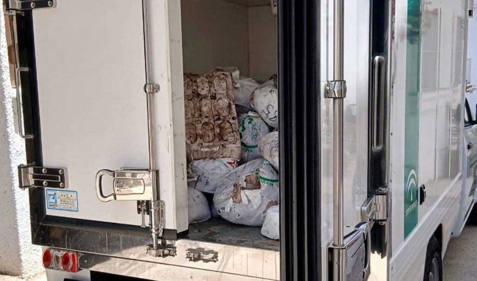 La Junta interviene más de 1.000 kilos de pulpo por incumplir la normativa de comercialización en Níjar