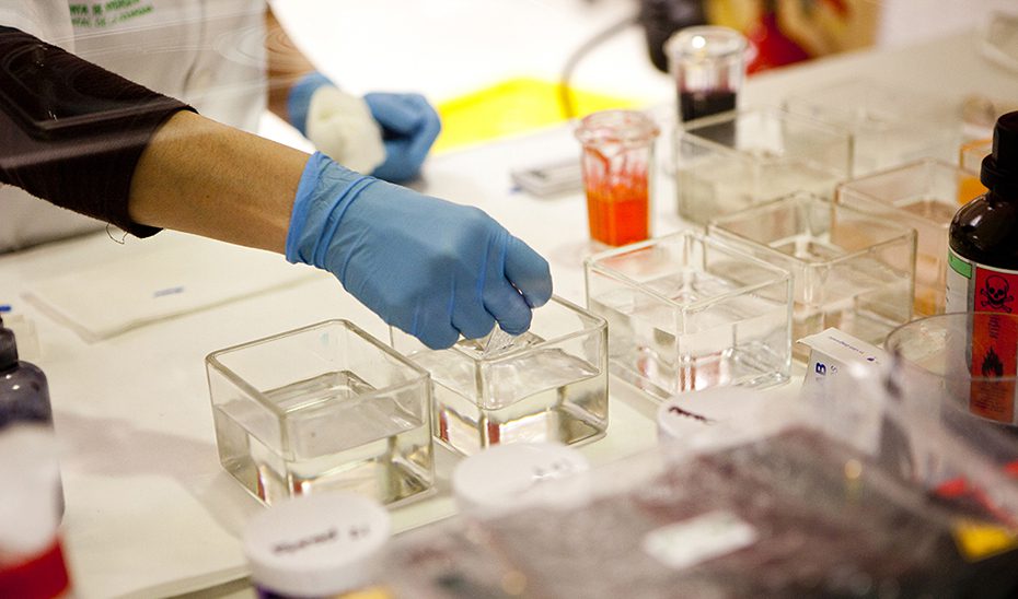 El Biobanco andaluz provee de más de 10.200 muestras a la comunidad científica para la investigación en salud