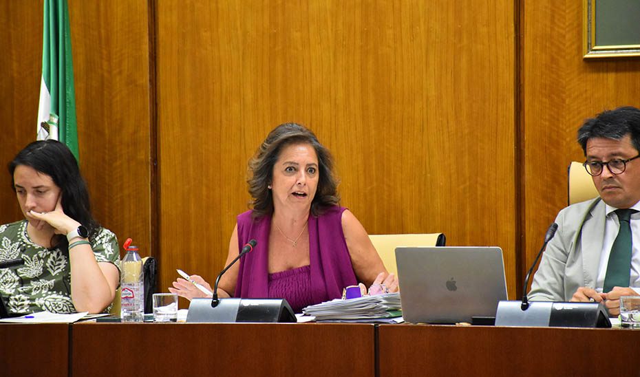 La Junta pone en marcha nuevas mediciones de la calidad del aire en la barriada Guadalquivir de Coria