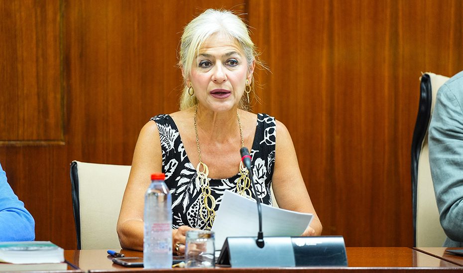 La Consejería de Cultura ha aportado desde 2019 más de 71 millones a las orquestas andaluzas