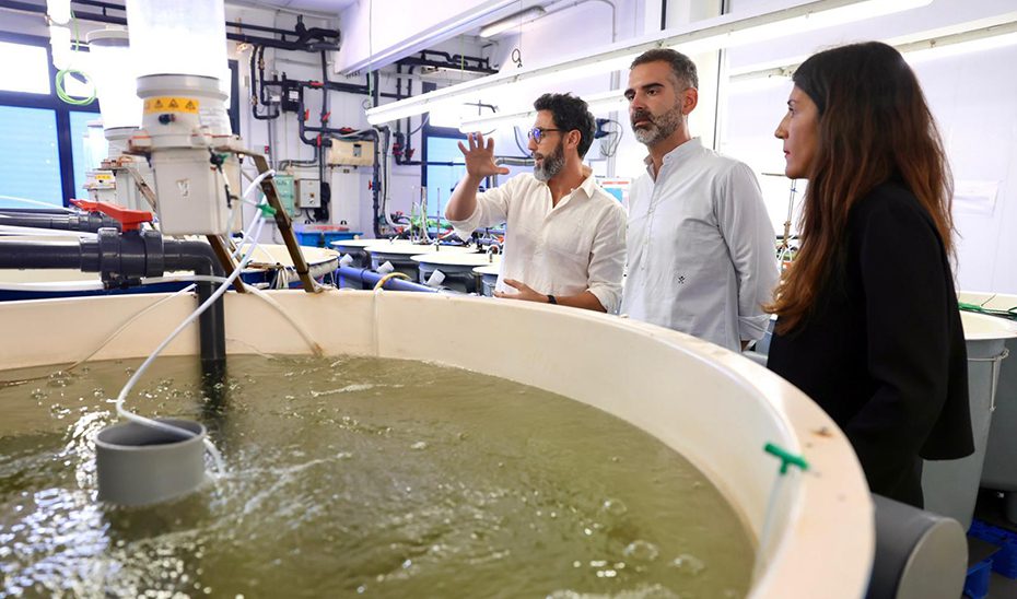 El Gobierno andaluz prevé ampliar hasta los 7,6 millones las ayudas para inversiones en acuicultura