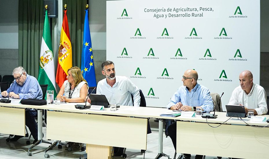 Andalucía reclama al Gobierno de España que “haga todo lo que esté en su mano” para bloquear la nueva PAC