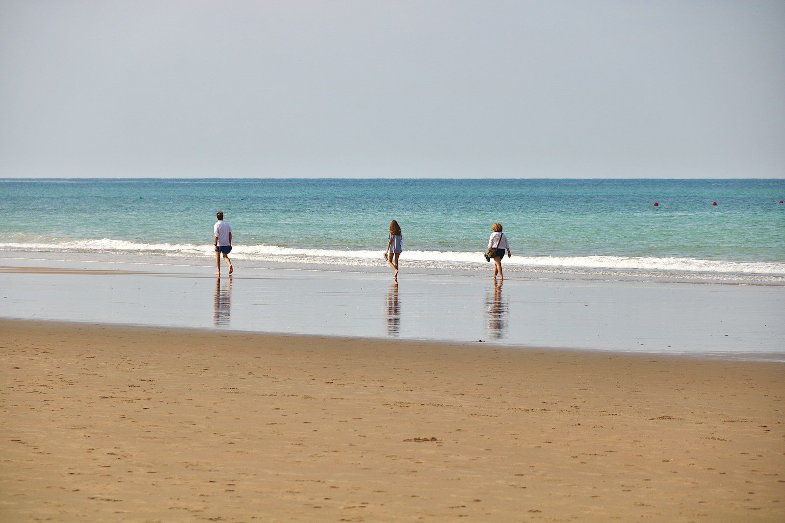 people on beach during daytime