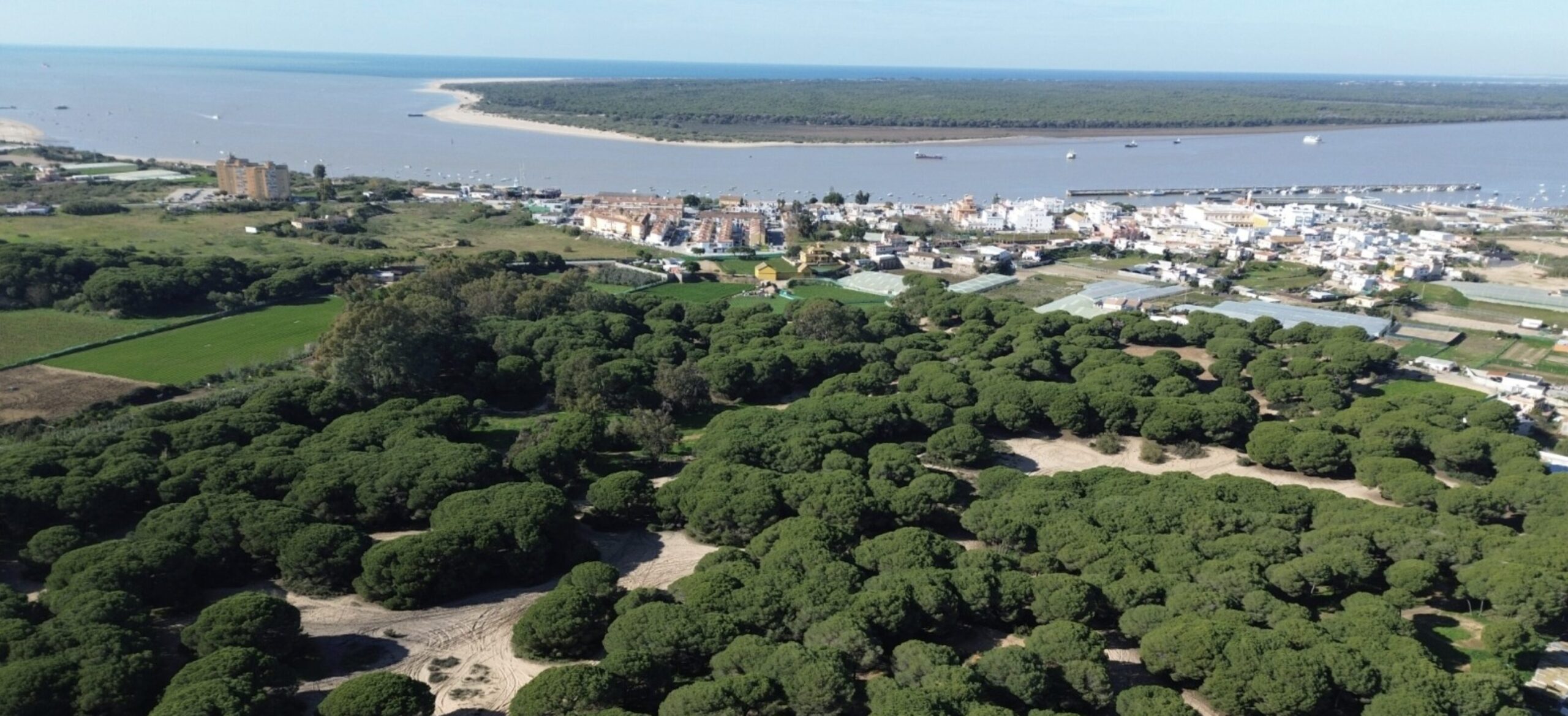 El Gobierno central ya ha abonado a Sanlúcar los 5,9 millones de euros del Acuerdo de Doñana