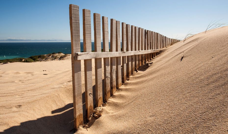 La Junta difunde las recomendaciones del Plan de Dunas para proteger el litoral andaluz este verano