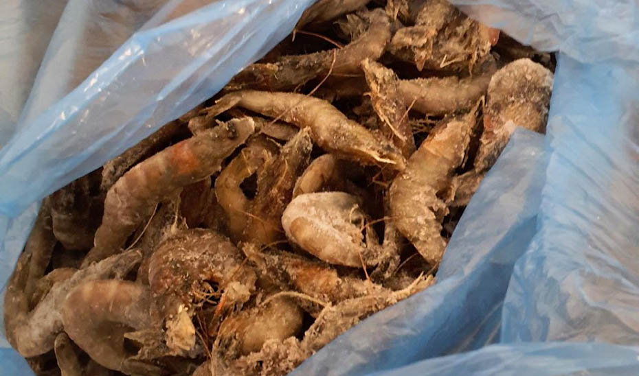 Inspección Pesquera de la Junta y Seprona intervienen más de 500 kilos de productos