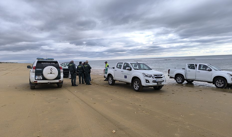 La Junta y el Seprona levantan 120 actas por marisqueo a pie de coquina en el primer semestre