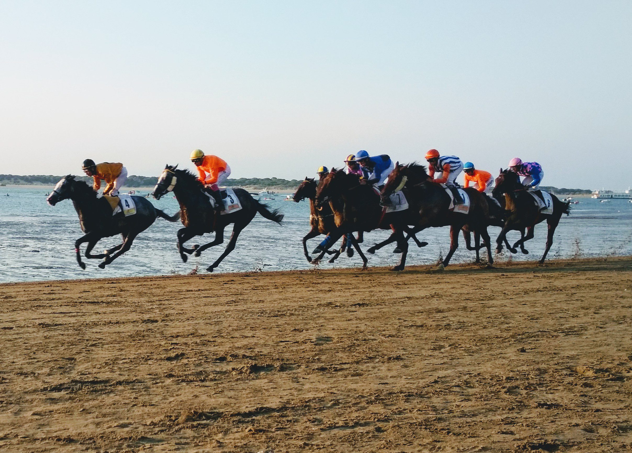 HOY COMIENZAN LAS CARRERAS DE CABALLOS 2025