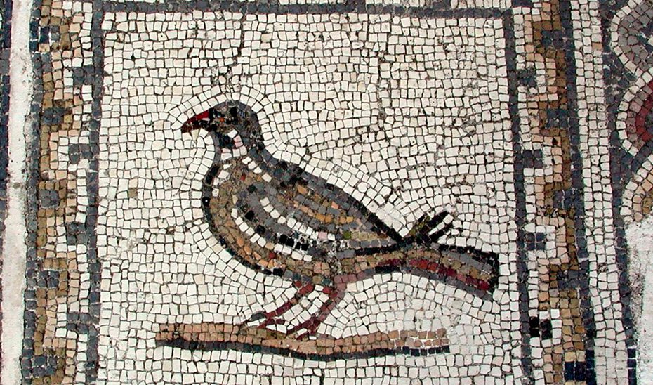 La actividad de la caza de la perdiz con reclamo, protegida como Bien de Interés Cultural