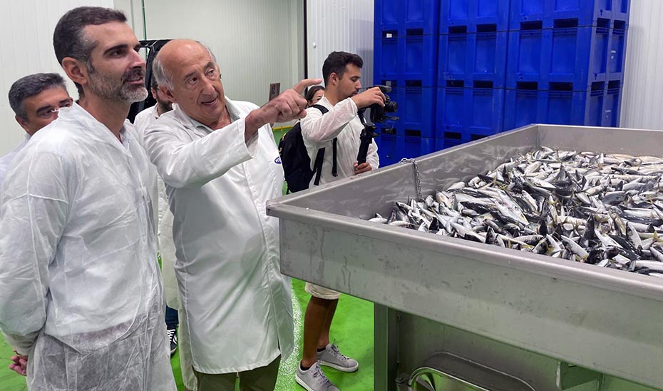 La Junta impulsa el sector de la transformación pesquera andaluza con más de 33 millones en ayudas desde 2023
