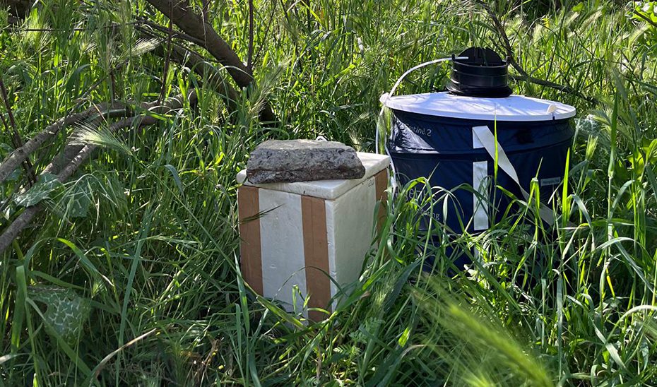 Andalucía cuenta con 193 trampas para detectar circulación del virus del Nilo en Mosquitos