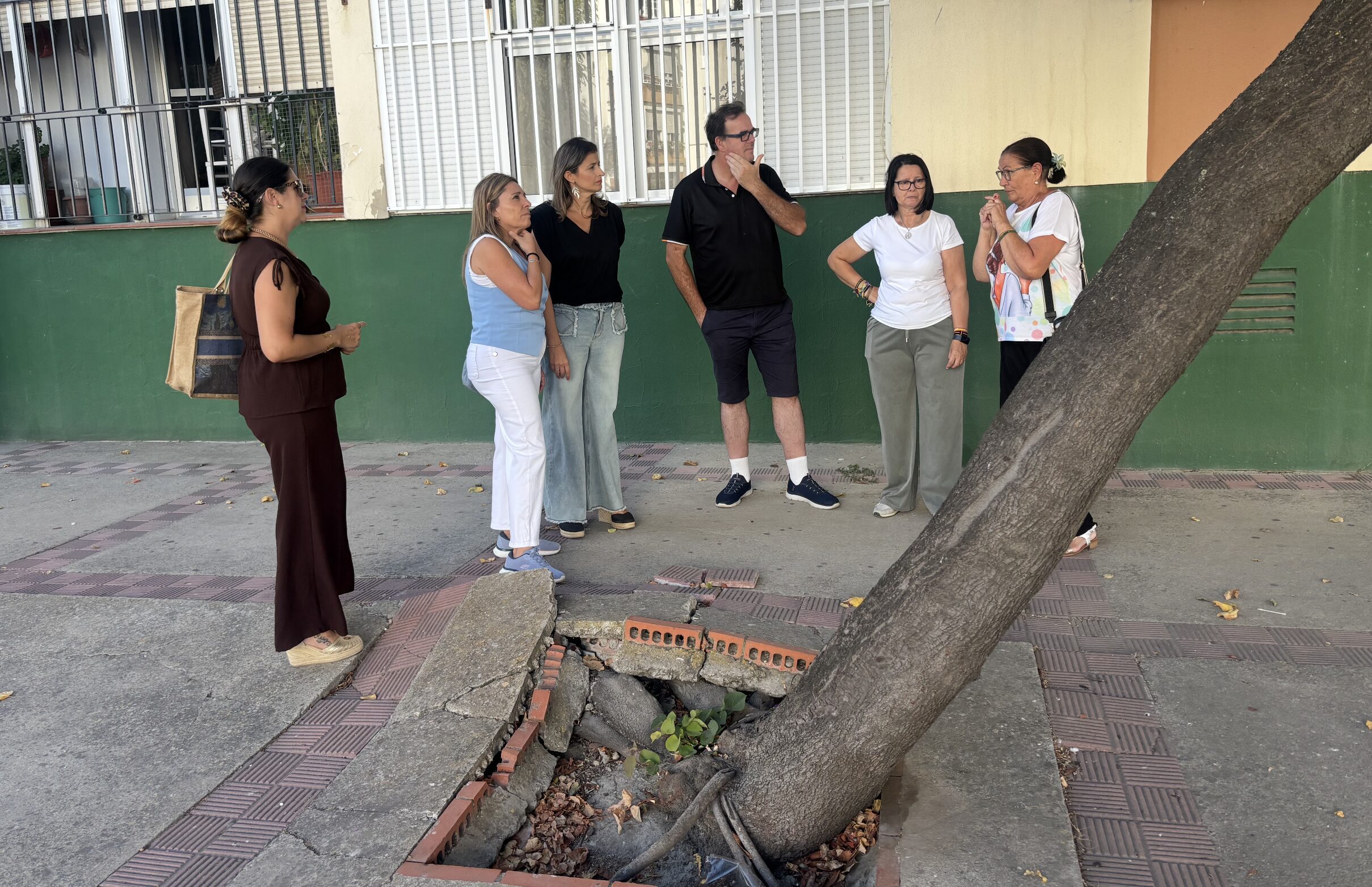 El PP critica la falta de limpieza y conservación en la barriada de El Palmar