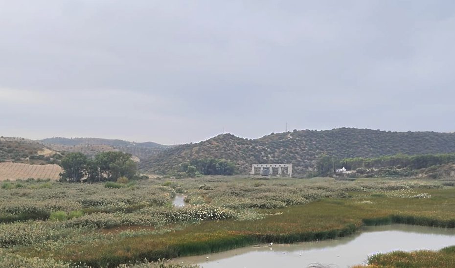 Impulso a la conservación de las lagunas del sur de Córdoba con nuevos proyectos de restauración y mejora ambiental