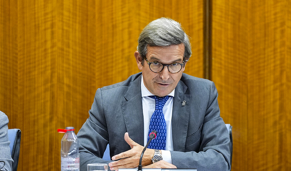 La Junta presentará alegaciones para que el Gobierno incluya la zona norte de Córdoba entre las infraestructuras eléctricas estratégicas 2025-2030