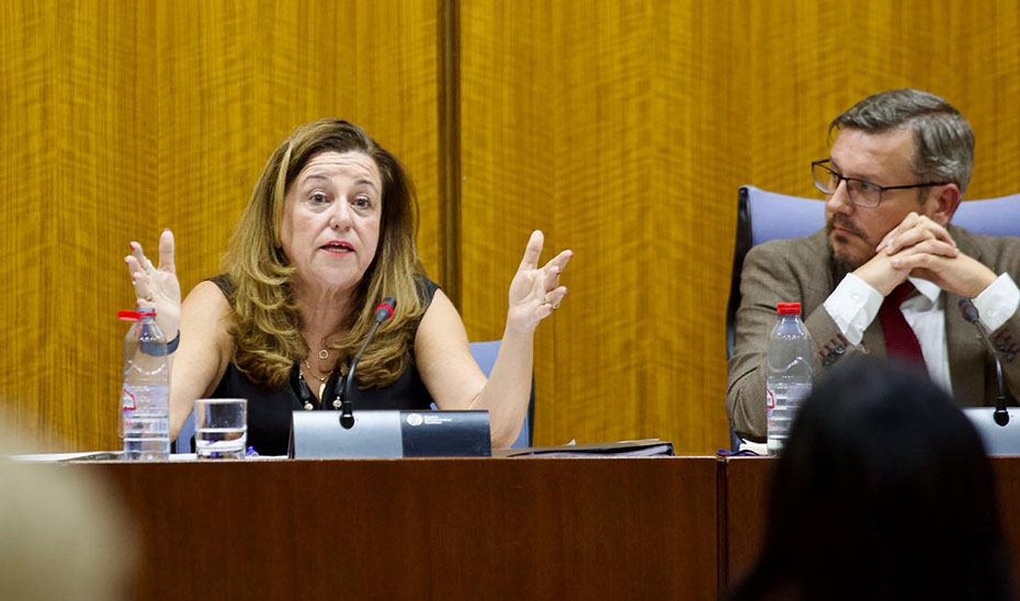 La Junta defiende el compromiso de los centros escolares con la convivencia y contra el acoso