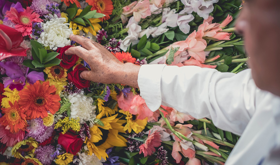 Consumo recuerda que las flores no se pueden devolver aunque se hayan comprado por internet