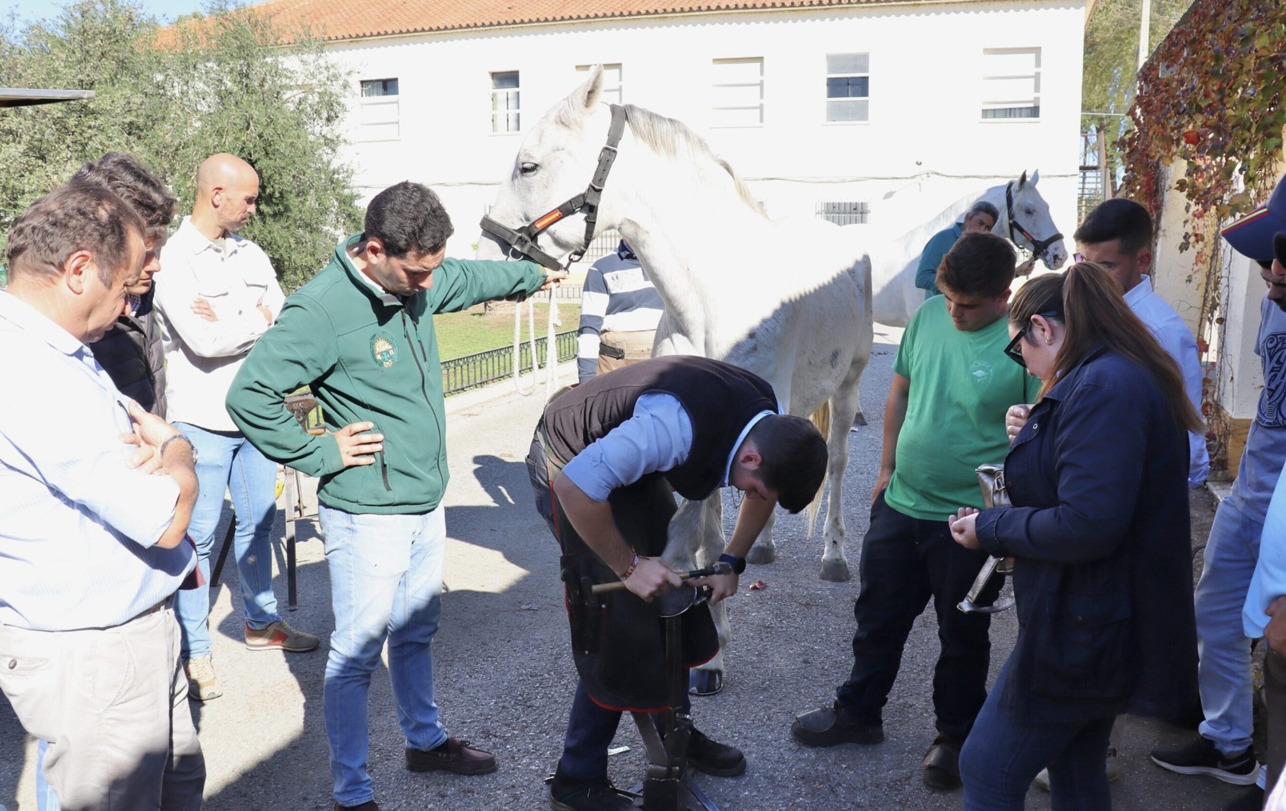El IFAPA convoca en Jerez un nuevo curso gratuito de podología equina y herraje