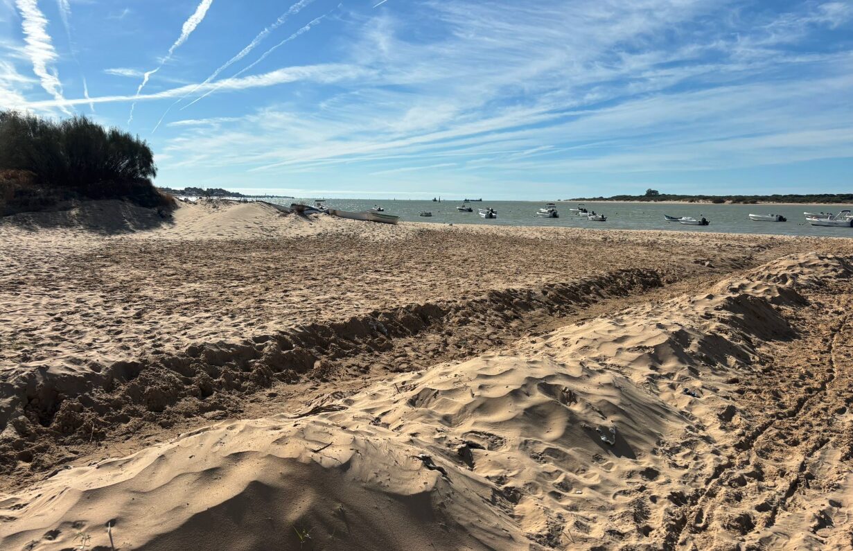 El PP exige a la alcaldesa explicaciones por los vertidos de aguas residuales en Las Piletas y Bonanza