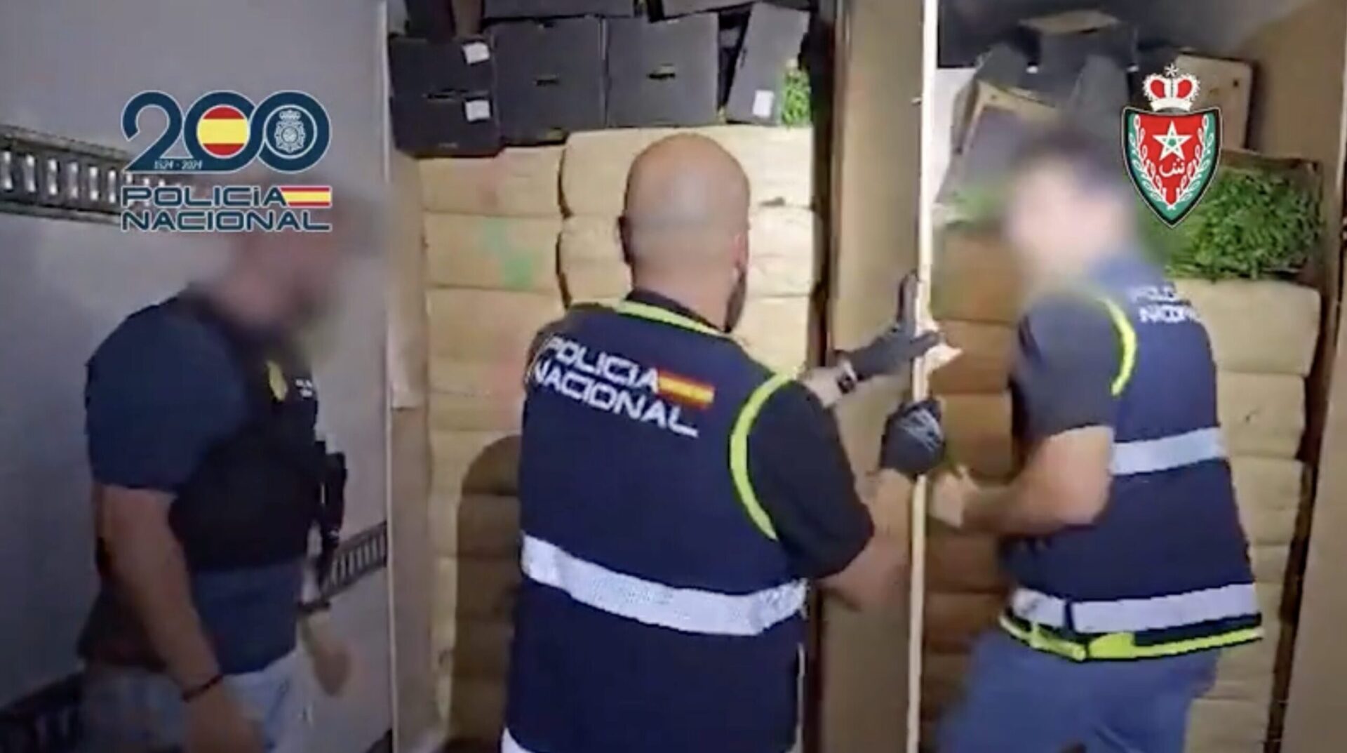 Ocultaban 12 toneladas de hachís entre pimientos verdes y las llevaban hasta una finca en Sanlúcar