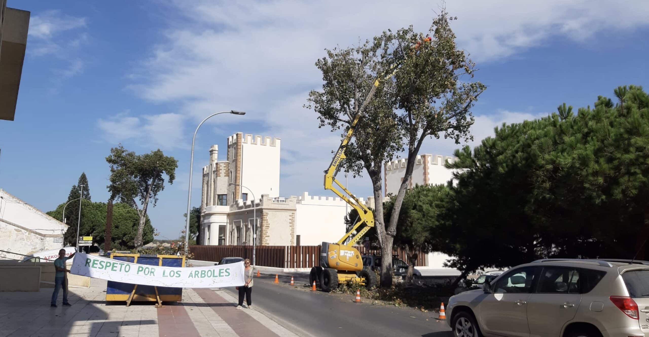 “Podas excesivas, fuera de tiempo y realizadas por personal no cualificado” de Emulisan en Sanlúcar