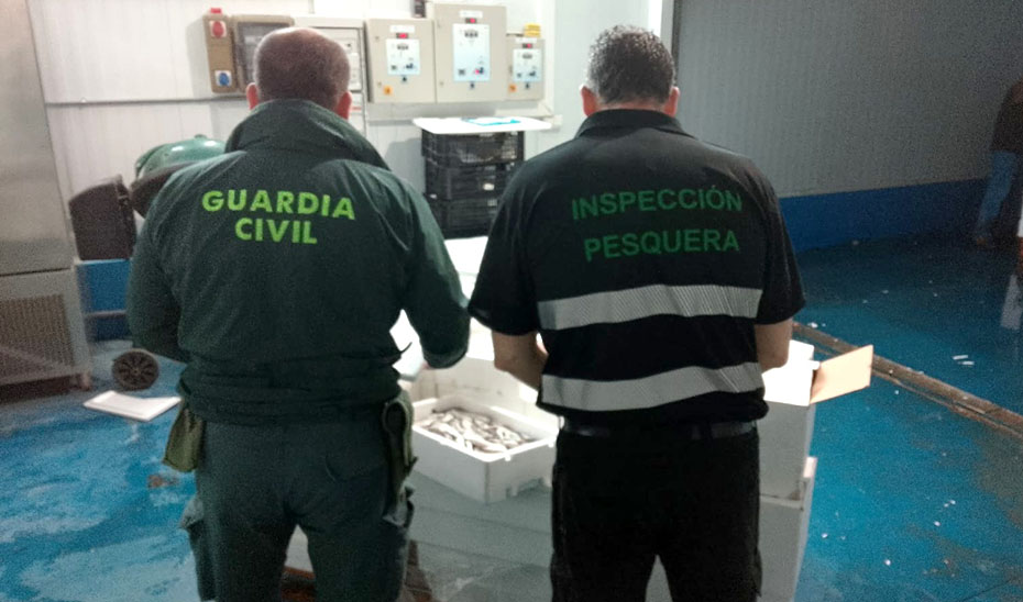 Intervenidos en Úbeda casi 800 kilos de productos pesqueros sin garantías de seguridad para su consumo