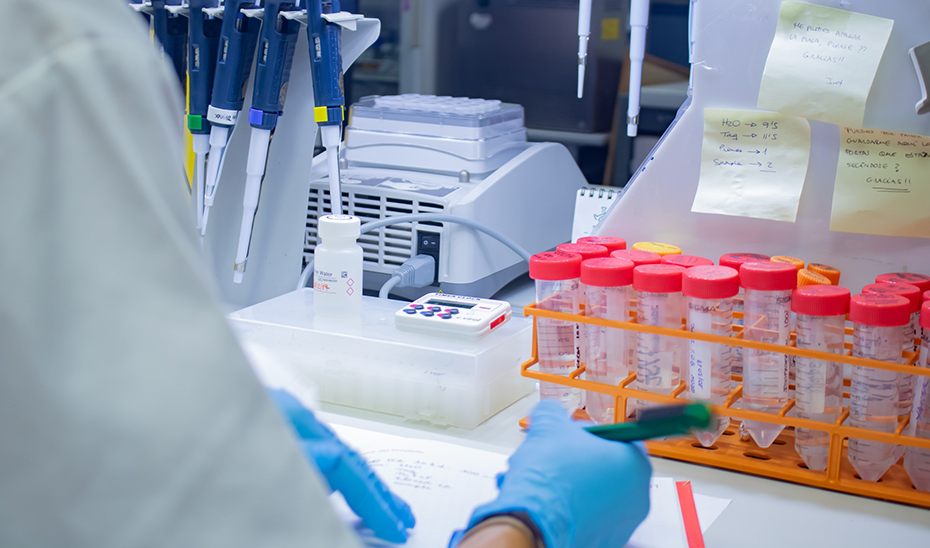 Ayudas de 800.000 euros al Centro de Biología del Desarrollo e Instituto de Matemáticas de la UGR