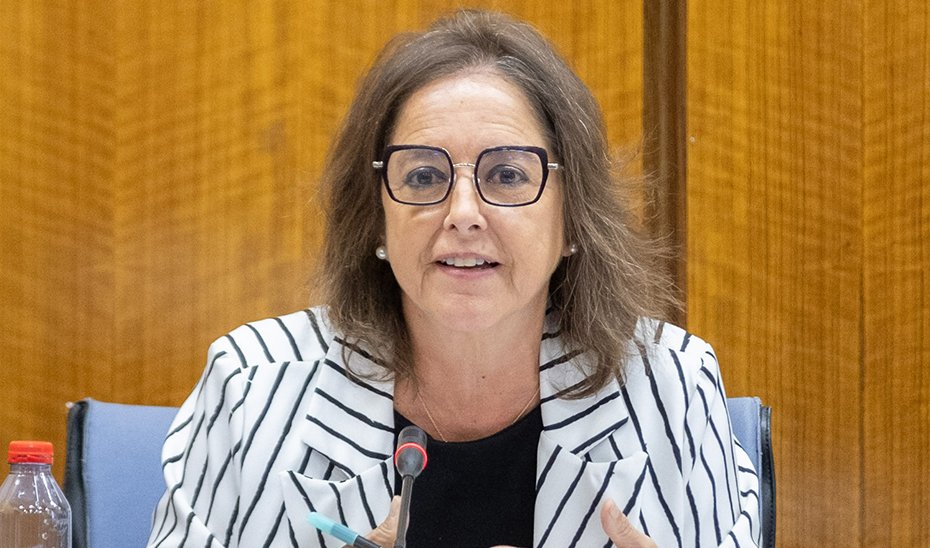 Andalucía censa 143 parejas de cerceta pardilla en 14 humedales, el mejor dato en más de dos décadas