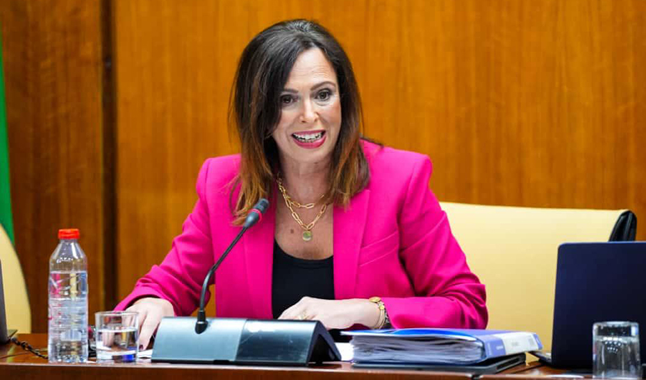 Licitadas por 40,8 millones de euros las obras de la autovía del Olivar entre Martos y arroyo Salado