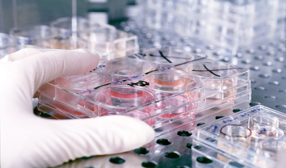 Andalucía alcanza su máximo histórico en inversión en I+D con más de 2.300 millones en 2024