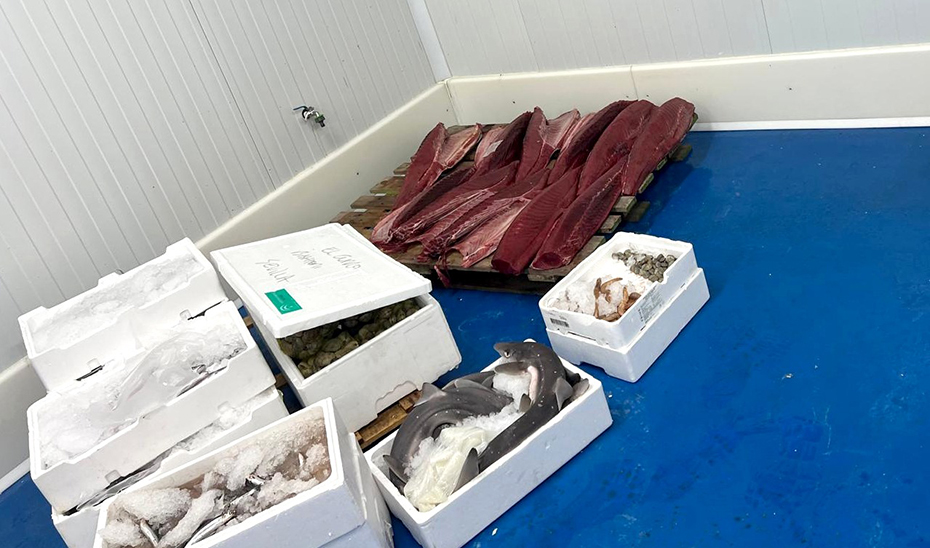 Inspección Pesquera y Seprona intervienen más de una tonelada de productos sin seguridad alimentaria