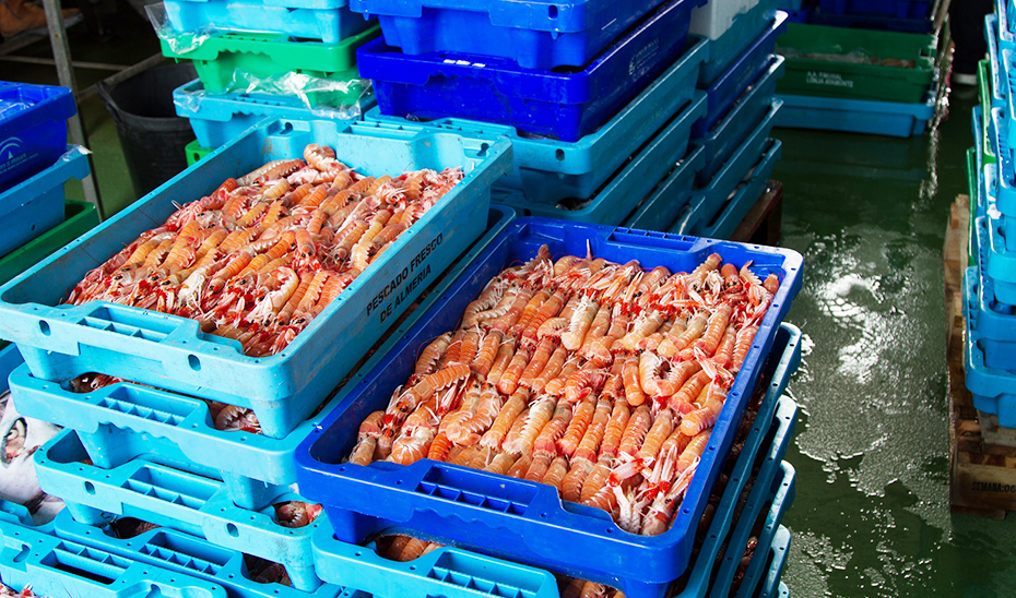 La Junta destina 5 millones a fomentar la transición verde de la industria pesquera y acuícola