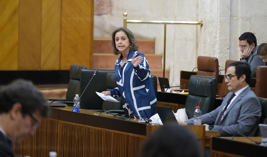 Sostenibilidad lanza dos nuevas líneas de ayudas para la acción climática en municipios andaluces