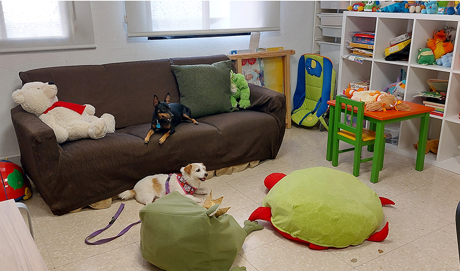 Cami, Canela, Rai y Lina: la ‘patrulla canina’ de la Justicia andaluza