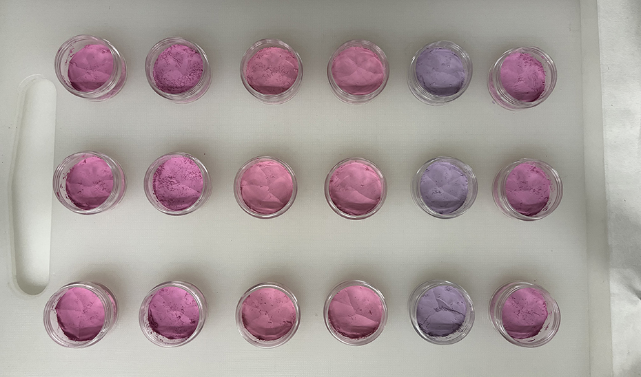 Investigadores andaluces logran colorantes de uso alimentario naturales más resistentes con arándanos