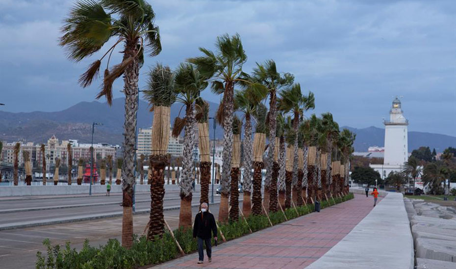 Desciende a fase de preemergencia el Plan ante el Riesgo de Inundaciones en Andalucía