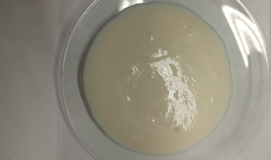 Investigadores andaluces obtienen una salsa libre de estabilizantes químicos a partir de vaina de guisante