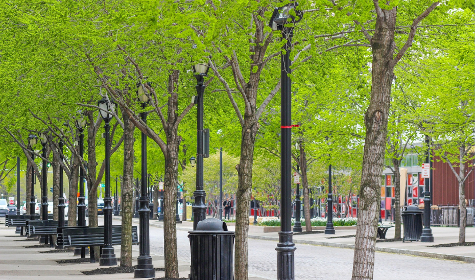 Andalucía moviliza cinco millones en subvenciones municipales para actuaciones frente al cambio climático