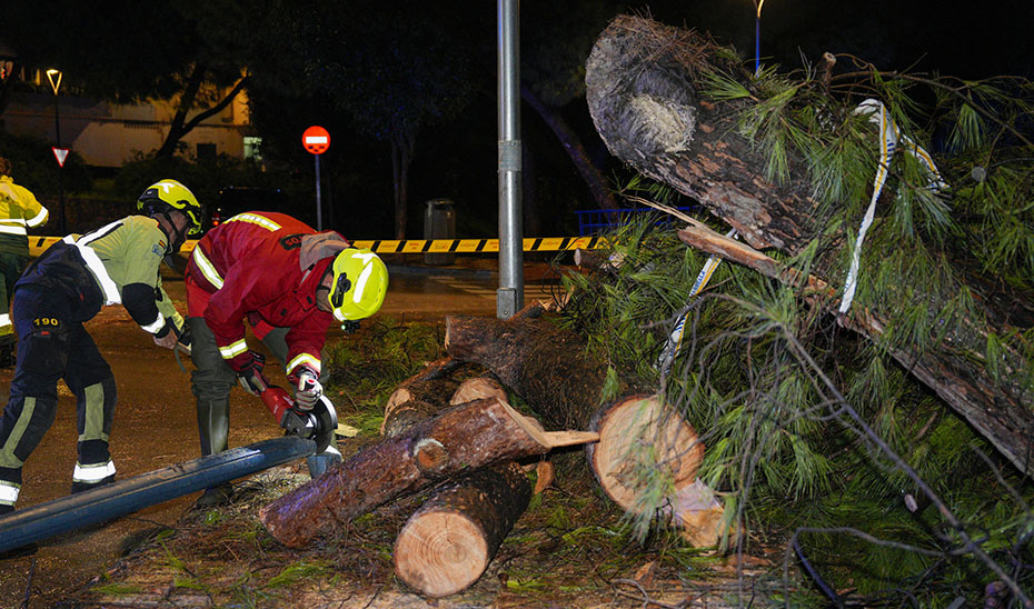El temporal deja ya 339 incidencias en Andalucía en su mayoría en la provincia malagueña 304