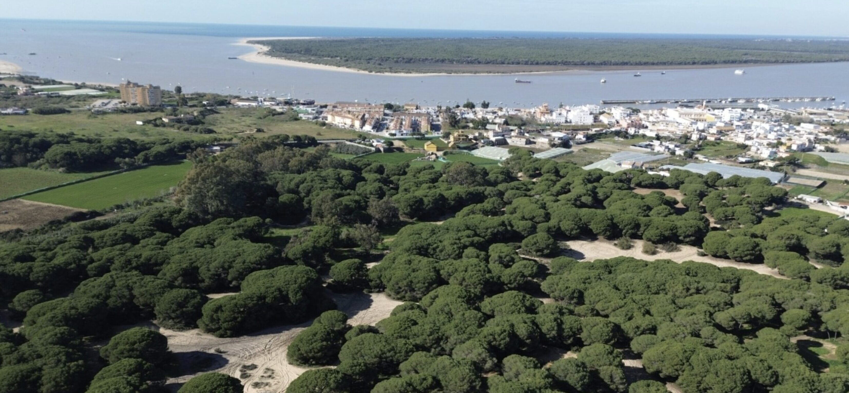 El Ayuntamiento abre el proceso para cubrir cinco plazas en la nueva oficina de inserción sociolaboral