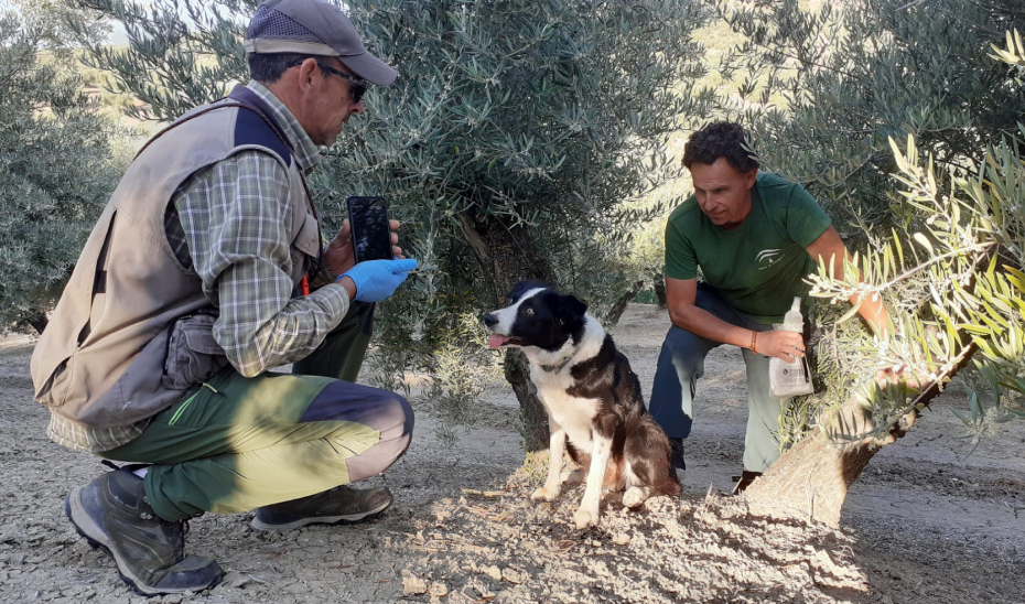 La Unidad Canina de la Junta, aliada clave en la reducción de la muerte de fauna por veneno