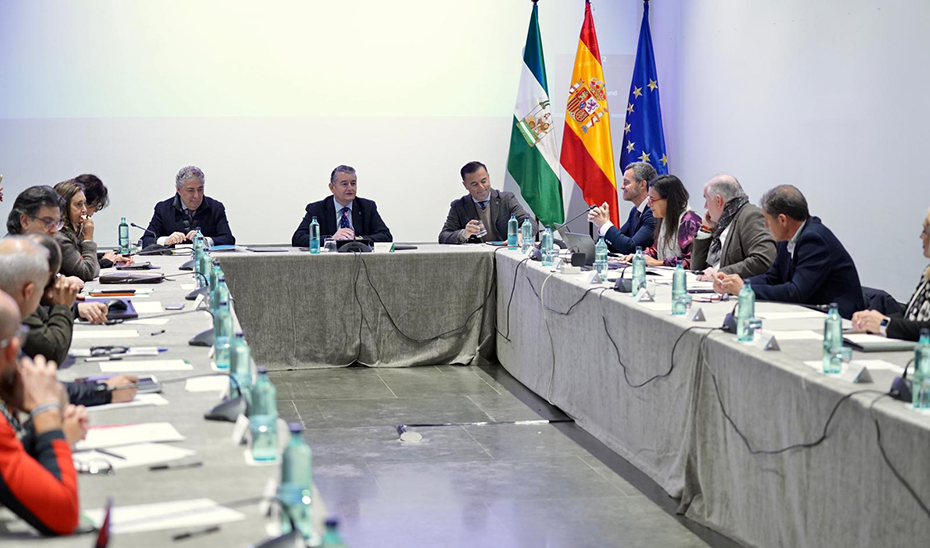 El Consejo Andaluz del Fuego aprueba el decreto de coordinación y organización de los bomberos