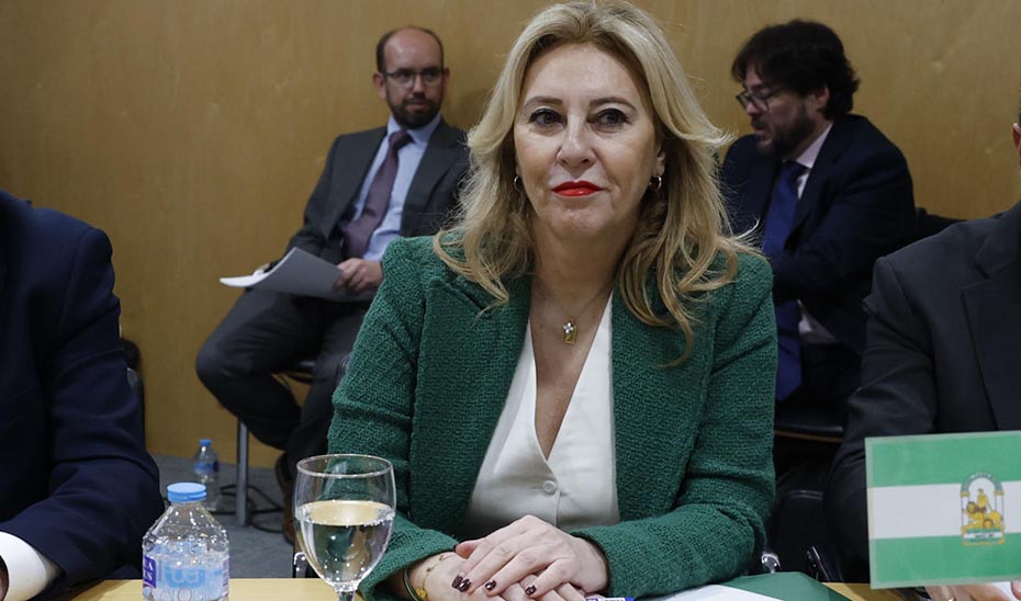 Cada andaluz recibiría 143 euros menos que la media con el modelo de financiación del Gobierno central