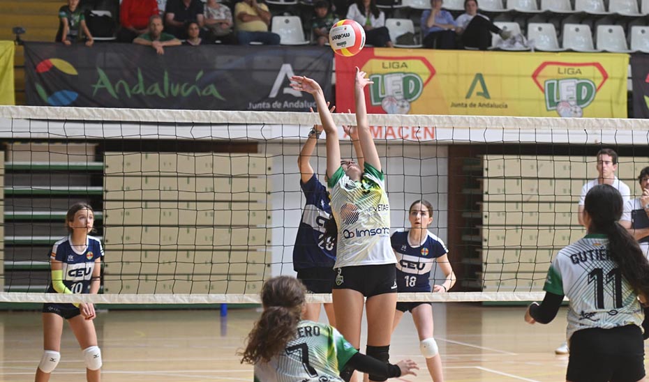 Un total de 562 equipos de 382 entidades participan en la quinta edición de la Liga LED