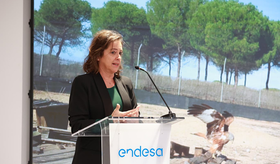 La Junta y la Fundación Endesa sellan su alianza para reforzar la protección del águila imperial y el milano real en Doñana