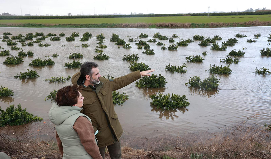La Junta solicitará la declaración de catástrofe natural para Andalucía a través del Comité de Gestión