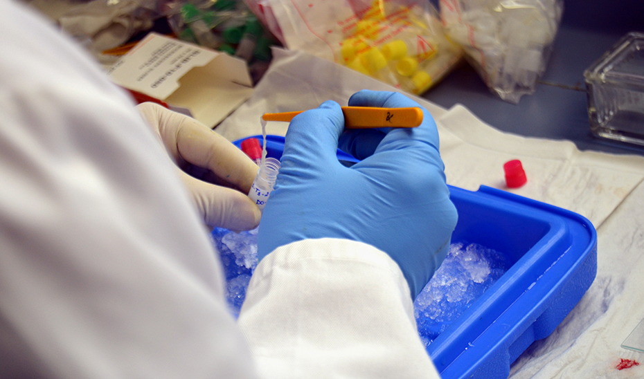 Convocadas ayudas de 5 millones para desarrollar proyectos de I+D en los Campus de Excelencia Internacional de Andalucía