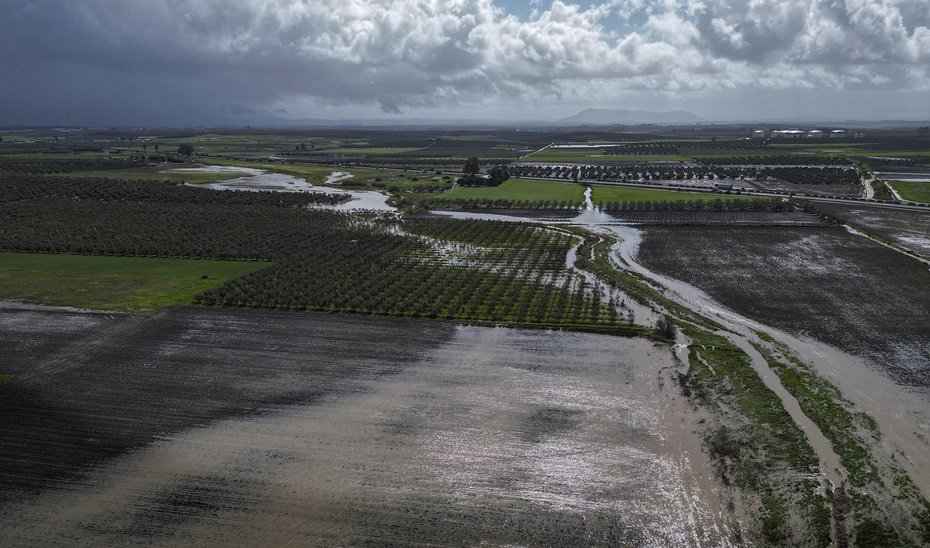 El Gobierno andaluz aborda con el sector las ayudas para el campo tras el tren de borrascas