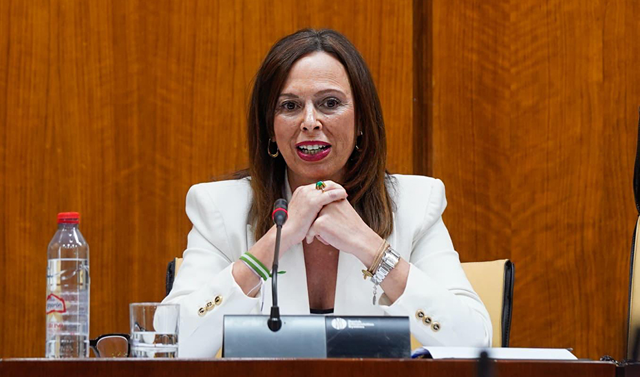 La Junta tiene iniciadas las obras de emergencia en las carreteras afectadas por el tren de borrascas