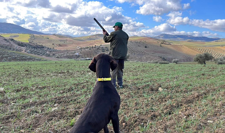 La Junta aprueba un decreto ley para aplicar la licencia interautonómica de caza y pesca